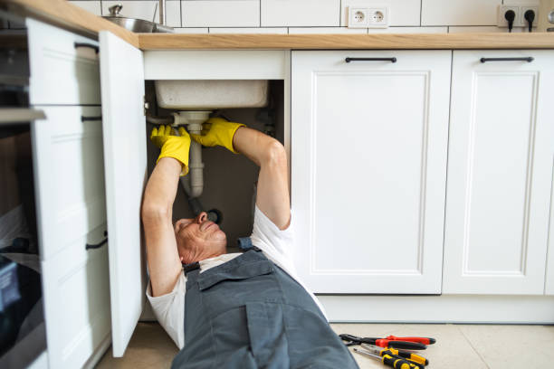 Best Plumbing Inspections & Maintenance in Newton, MS